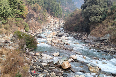 新德里：卡索尔和托什隐秘小径喜马拉雅山 3 日游