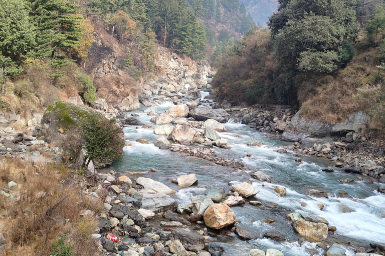 新德里：卡索尔和托什隐秘小径喜马拉雅山 3 日游