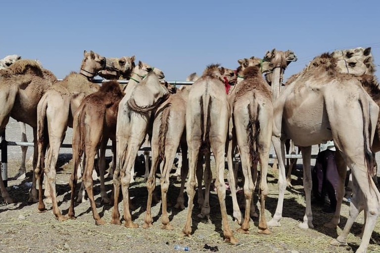 Muscat: Visit Sinaw Market, Izki Village, & Jarnan Cave Tour