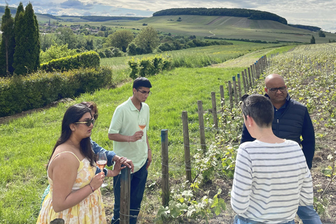 Champagne Munoz Bruneau : demi-journée de visite et de dégustation