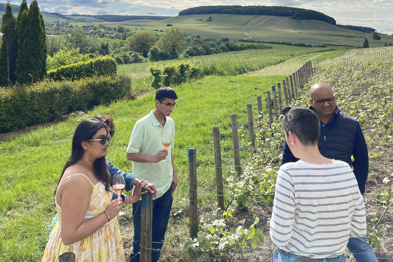 Champagne Munoz Bruneau : demi-journée de visite et de dégustation