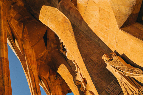 Barcelona: Sagrada Familia Guided Tour with Express Entry Tour with Express Entry