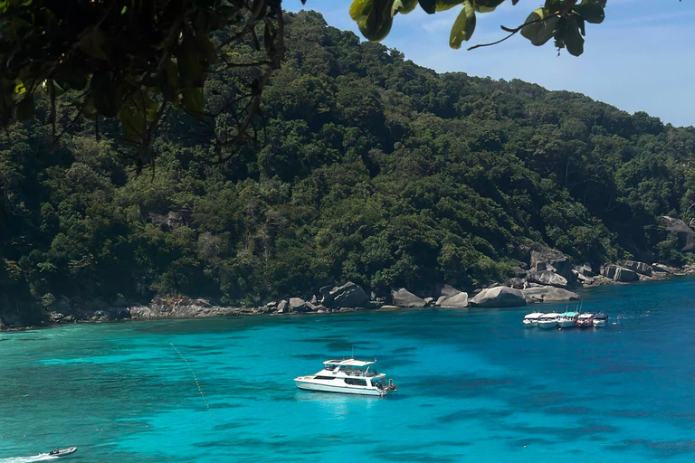 Similan Catamaran Small Group Day Tour From Phuket/Khao Lak