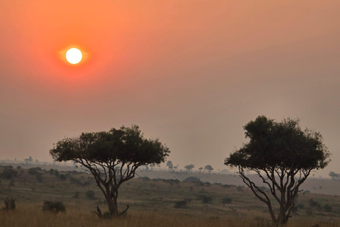 Kampala: Sipi Falls Hike and Coffee Tour 2-Day Trip