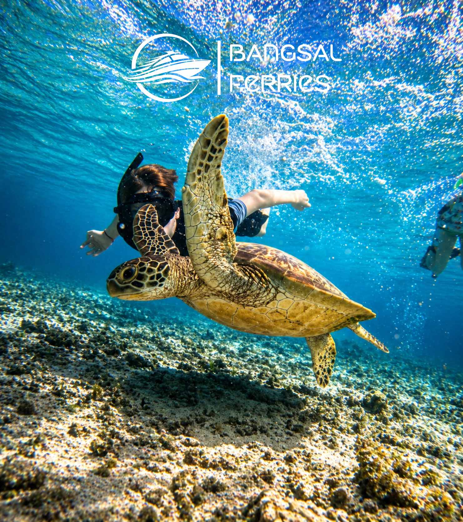 Gili Air: Frühmorgendliches Schnorcheln mit Schildkröten und GoPro