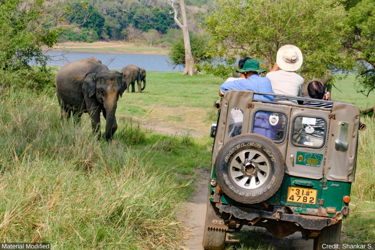 Sri Lanka: Route, vervoer & hotelsPlanningsdiensten voor Sri Lanka: Route, vervoer & hotels