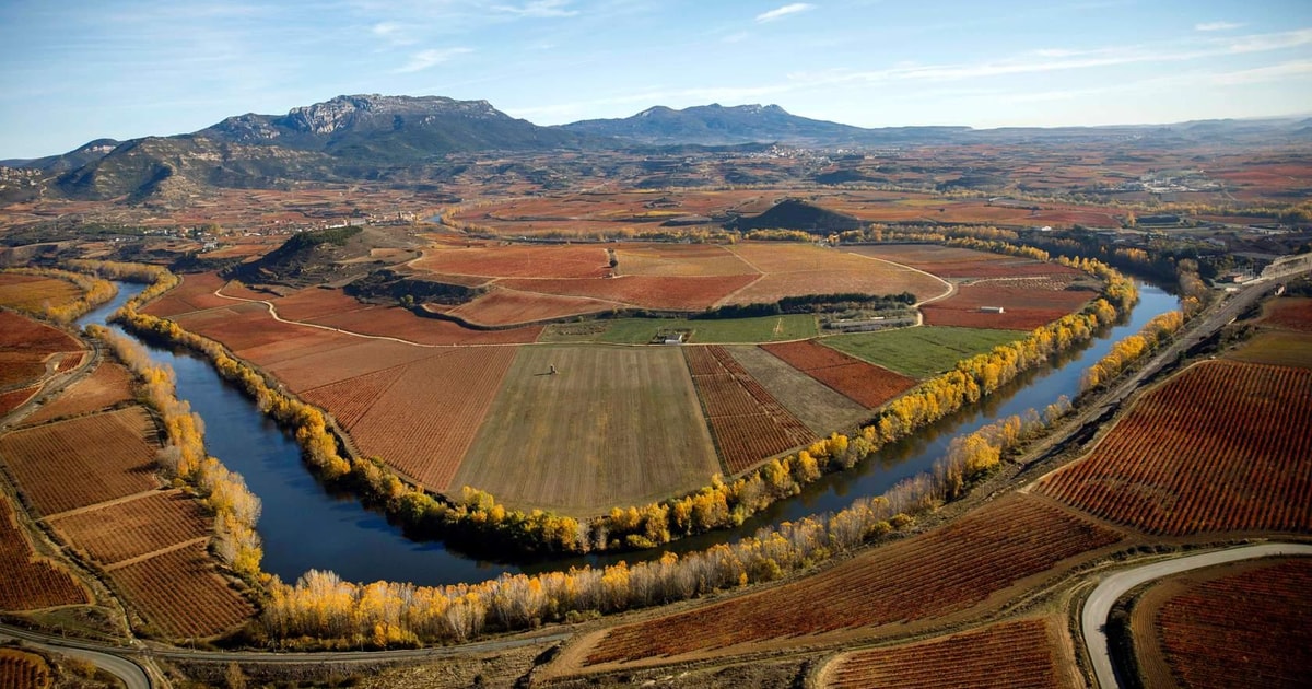 Rioja Alta Et Rioja Alavesa Depuis La Rioja Getyourguide