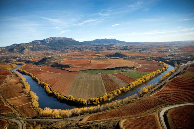 Visit Rioja Alta and Rioja Alavesa Wine Tour (from Rioja) in Logroño