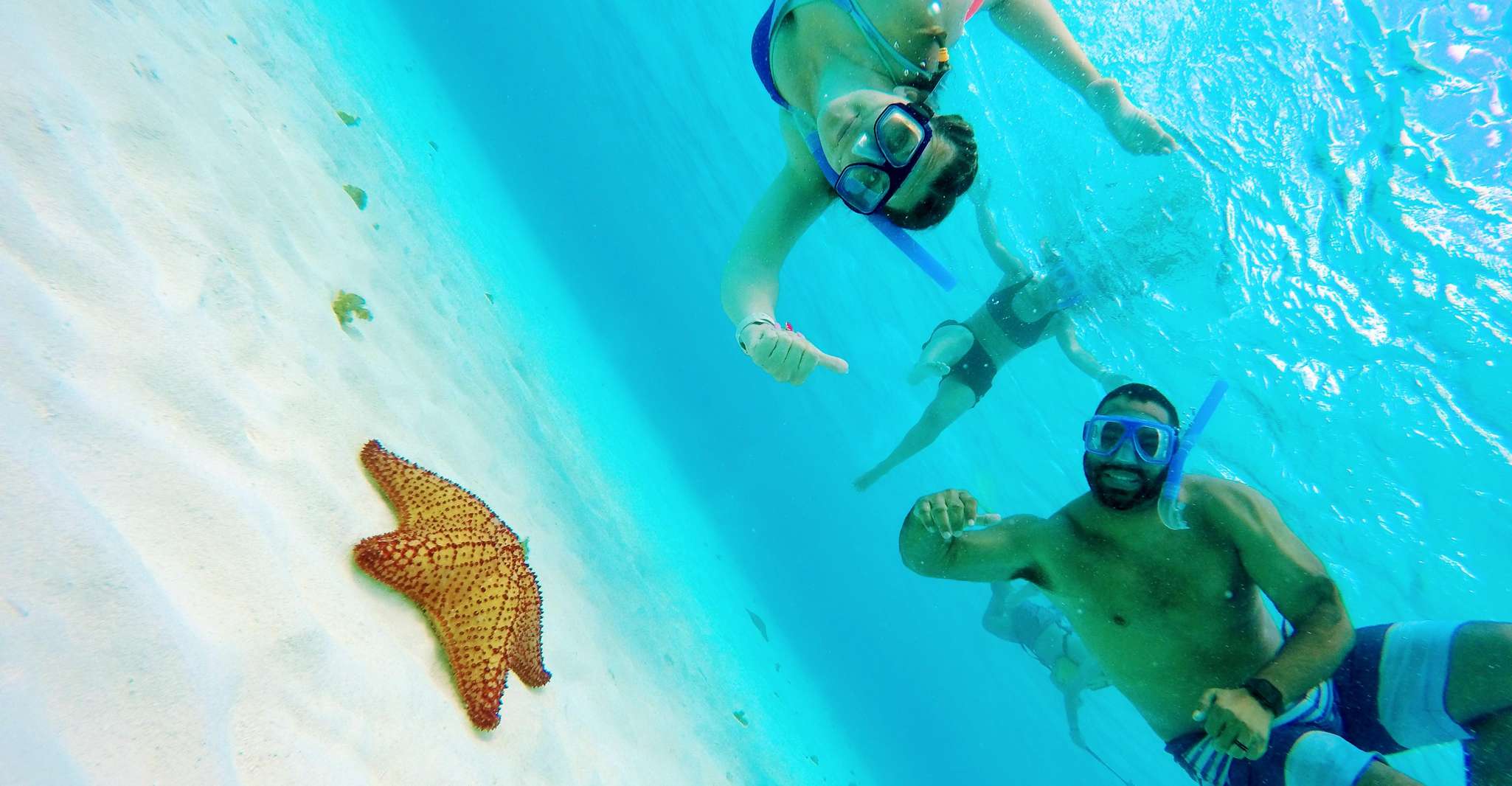 Cozumel, Starfish, Stingrays, and Turtle Bay Snorkeling Tour - Housity