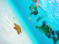 Cozumel, Starfish, Stingrays y Turtle Bay Snorkeling Tour - Housity