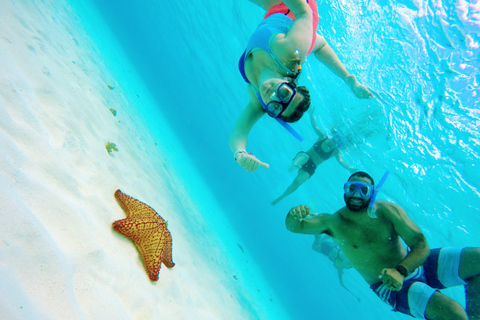 Cozumel: Starfish, Stingrays, and Turtle Bay Snorkeling Tour