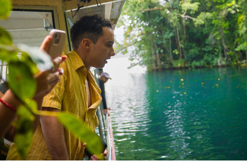 Lake Barrine Boat Cruise – Discover Queensland’s Hidden Gem