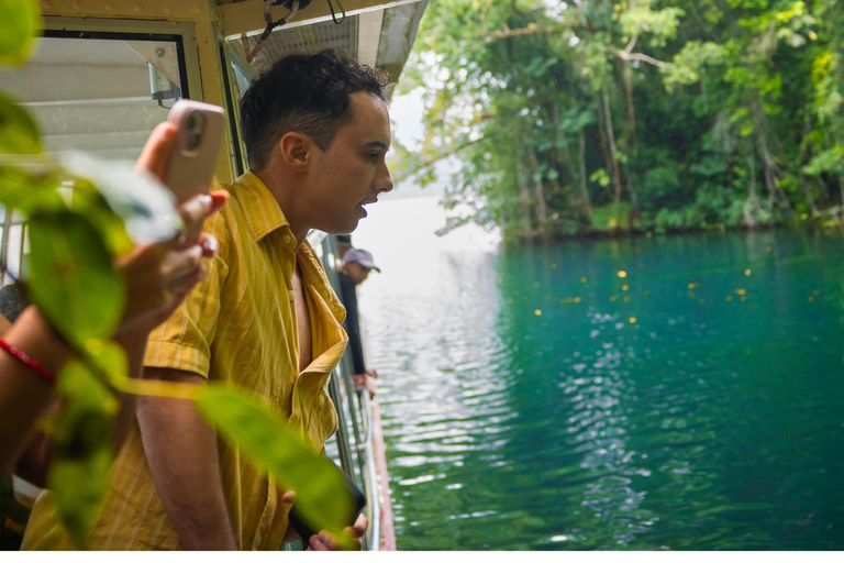 Lake Barrine Boat Cruise – Discover Queensland’s Hidden Gem