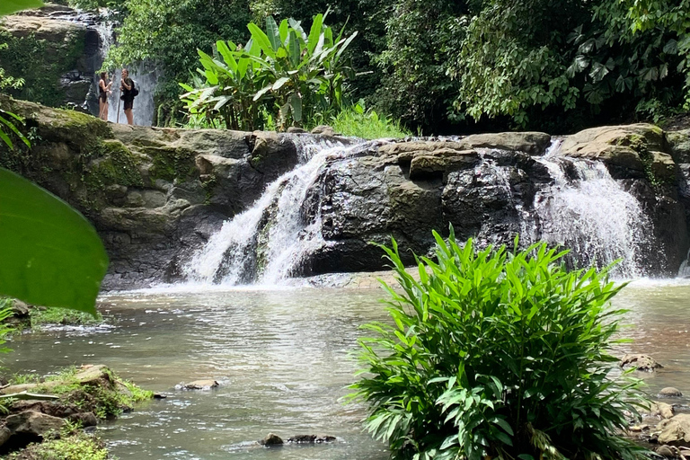 Cahuita National Park+Bribri Chocolate Tour+Waterfalls Tour+Lunch