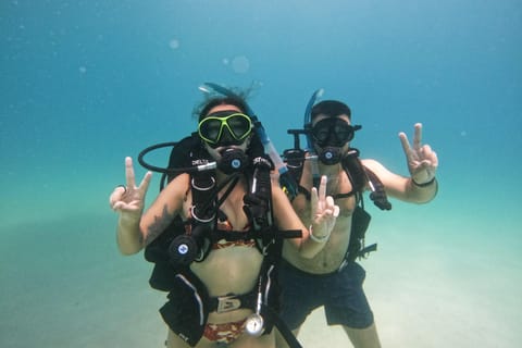 From Abu Dhabi: Scuba Dive and Snorkeling with Transfer