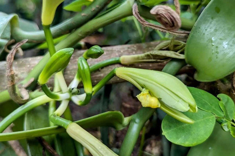 Spice Farm, Stone Town, Prison & Nakupenda+pick up+entry fee