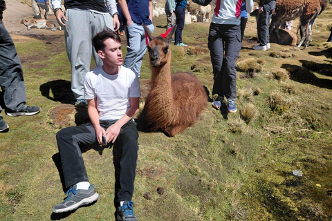 Arequipa: Salinas Lagoon and Aguada Blanca Reserve Excursion