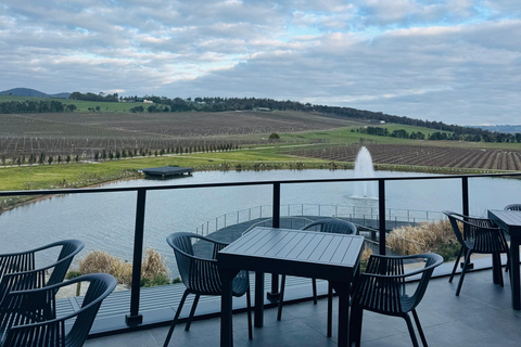 墨尔本蒸汽火车+企鹅观赏+亚拉谷葡萄酒巧克力之旅墨尔本企鹅游行、亚拉河谷葡萄酒美食与考拉之旅