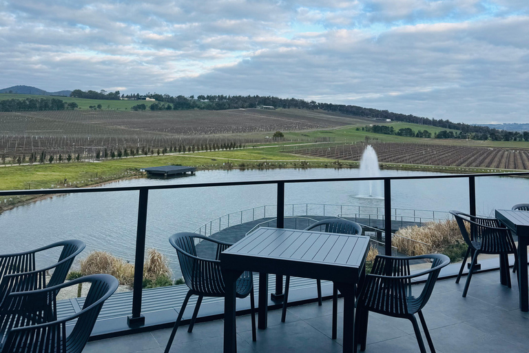 墨尔本蒸汽火车+企鹅观赏+亚拉谷葡萄酒巧克力之旅墨尔本企鹅游行、亚拉河谷葡萄酒美食与考拉之旅