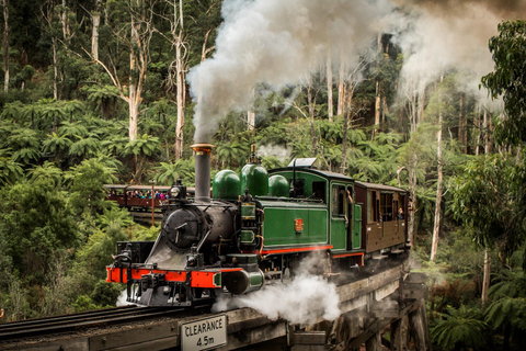 Melbourne: Puffing Billy stoomtrein en Philip Island