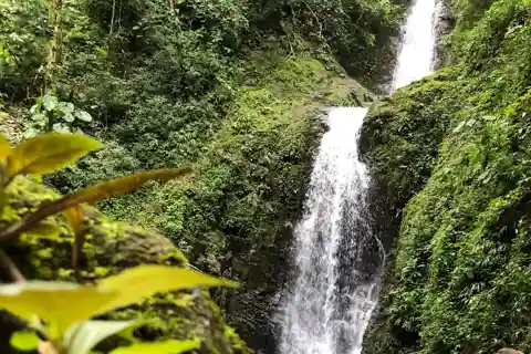 Excursión de un día a las Cascadas de Las Filipinas con almuerzo