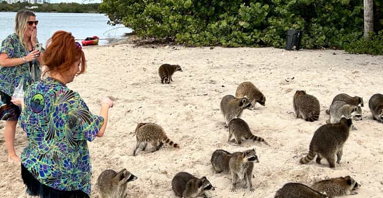 Miami: Celebrity Houses and Star Island Boat Tour photo 10