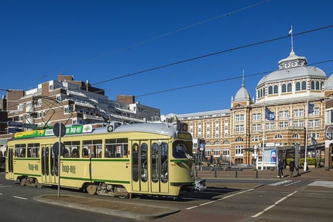 The Hague: Hop-on Hop-off Tourist Tram