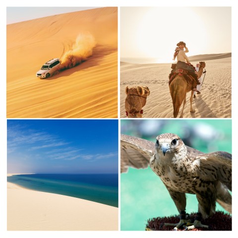 Visit Doha Desert Safari with Dune Bashing and Inland Sea in Doha
