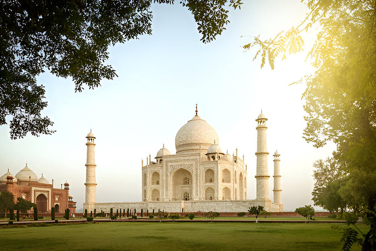 Tour privato tutto incluso del Taj Mahal all&#039;alba da DelhiTour con auto privata con aria condizionata, autista e guida