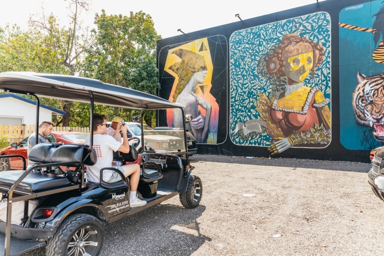 Wynwood Art District: 1-stündige Street-Art-Tour im Golfcart