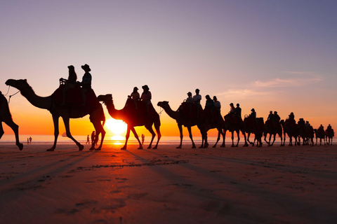 Agadir/Taghazout: Paseo en camello y excursión por el río FlamingoPaseo en camello al atardecer en la playa