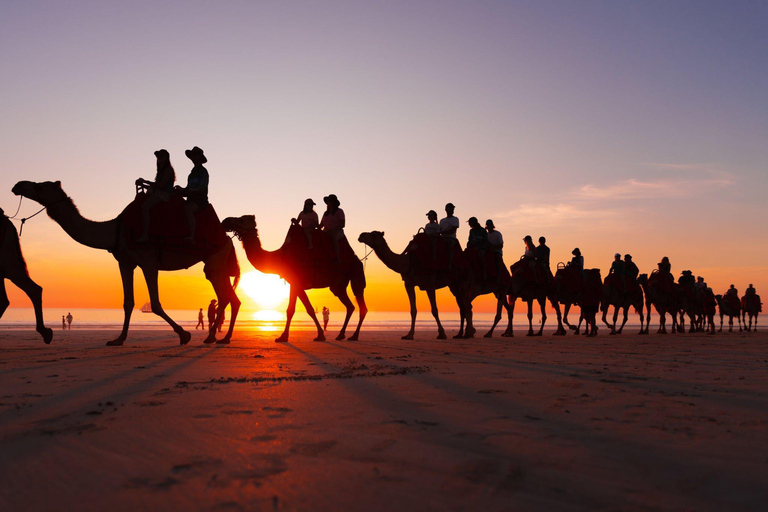 Agadir/Taghazout : Balade à dos de chameau et visite de la rivière des FlamantsBalade à dos de chameau au coucher du soleil sur la plage