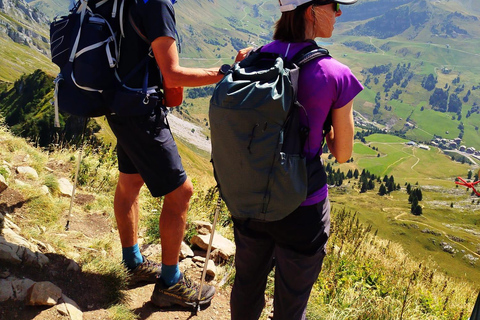 Mountain discovery hike: wildlife, flora and exceptional views Mountain Discovery Hike: Wildlife, Plants, and Exceptional Panoramas