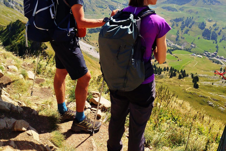 Mountain discovery hike: wildlife, flora and exceptional views Mountain Discovery Hike: Wildlife, Plants, and Exceptional Panoramas
