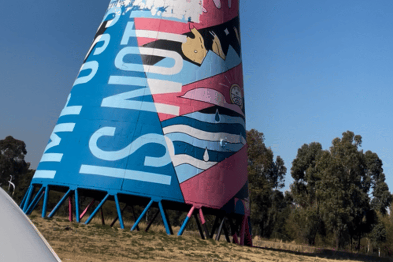 Johannesburg: Soweto Township Tour met kookles