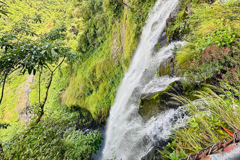 Tour de 1 día a Bajos del Toro, Alajuela, Costa Rica