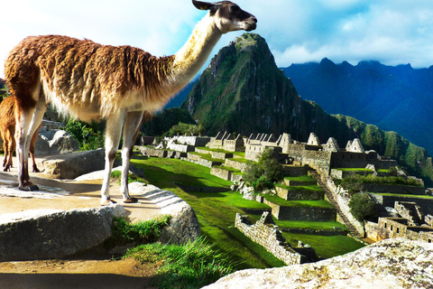 CUSCO: Heldag med allt inkluderat Privat Machu Picchu-upplevelse