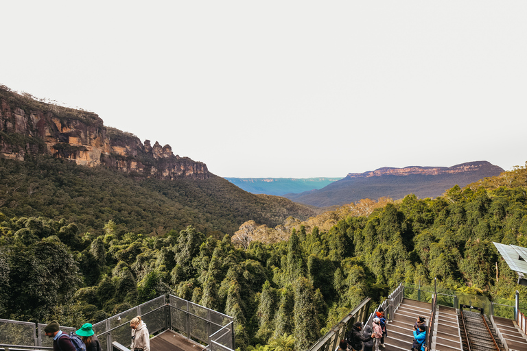 Depuis Sydney : montagnes Bleues et Scenic WorldPrise en charge 132 Castlereagh St, Sydney - 6h55