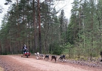 De Riga, de Husky Sledding ou de Wheel Cart Tour - Hizvo