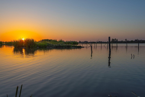 Camargue: Special sunrise/sunset photography session with horses and birds Camargue: Special sunrise/sunset photo shoot with horses and birds