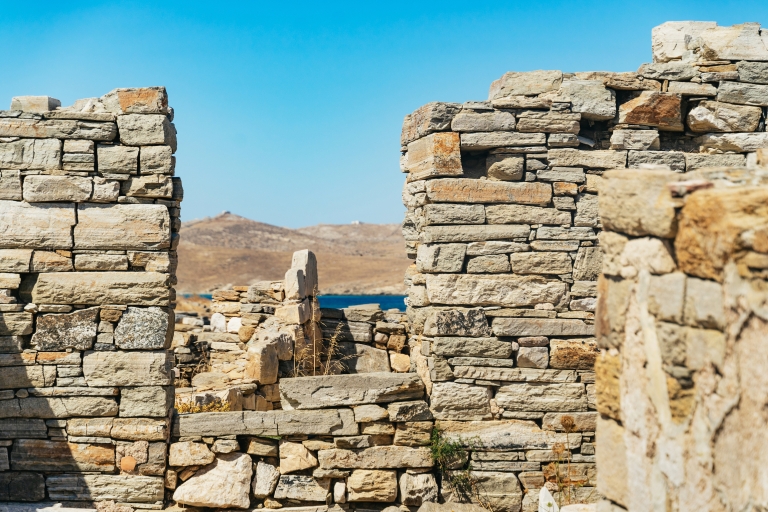 De Mykonos : visite guidée de Delos avec billets coupe-fileVisite en groupe privée en anglais