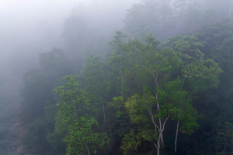 From Colombo: Sinharaja Rainforest Nature Adventure