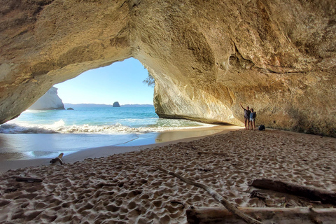 Nueva Zelanda: Excursión guiada de 17 días por la Isla Norte con acampada