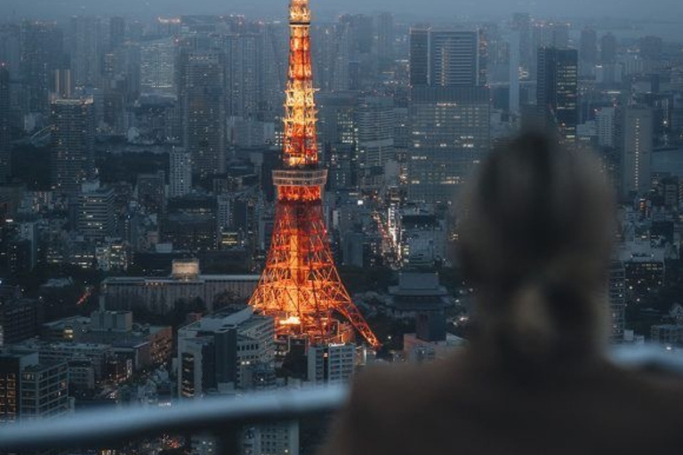 Tokyo Full Day Private Sightseeing Tour with English Driver