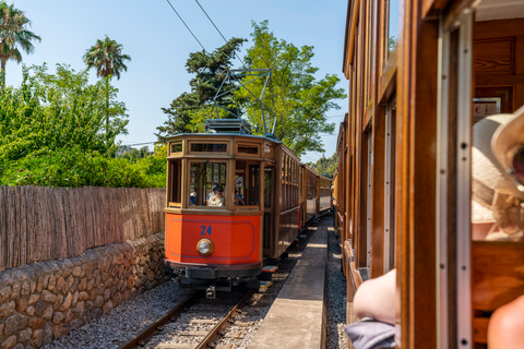 Mallorca: Island Tour with Boat & Train Ride from the South