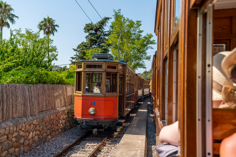 Mallorca: Island Tour with Boat, Tram &amp; Train from the South