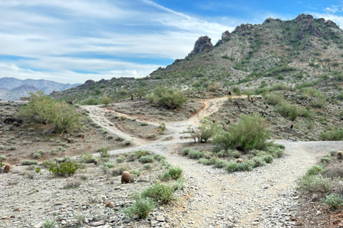 Phoenix: Guided Mountain Bike Adventure in Sonoran Desert 2-hour analog experience (Norco, Forbidden or Santa Cruz)