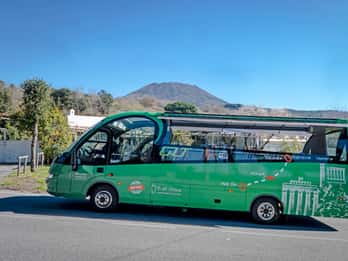 Da Ercolano: tour panoramico aperto Destinazione Vesuvio