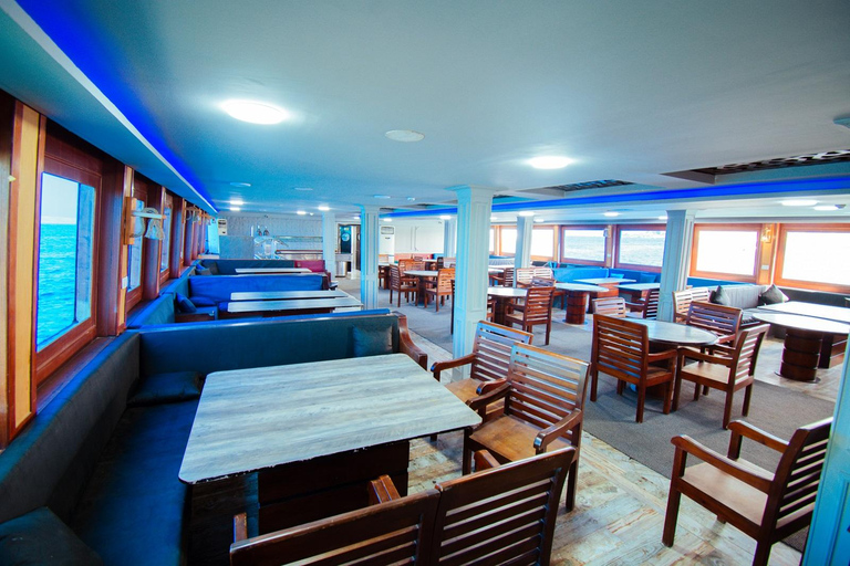 Hurghada: Luxury Catamaran Semi Submarine & Island & Sunset Luxury Catamaran Island With Private Transfer