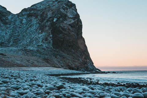 Visite touristique des Lofoten : visite d&#039;une demi-journée